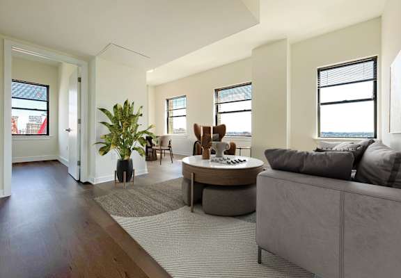 A living room with a grey couch, a coffee table, and a potted plant.
